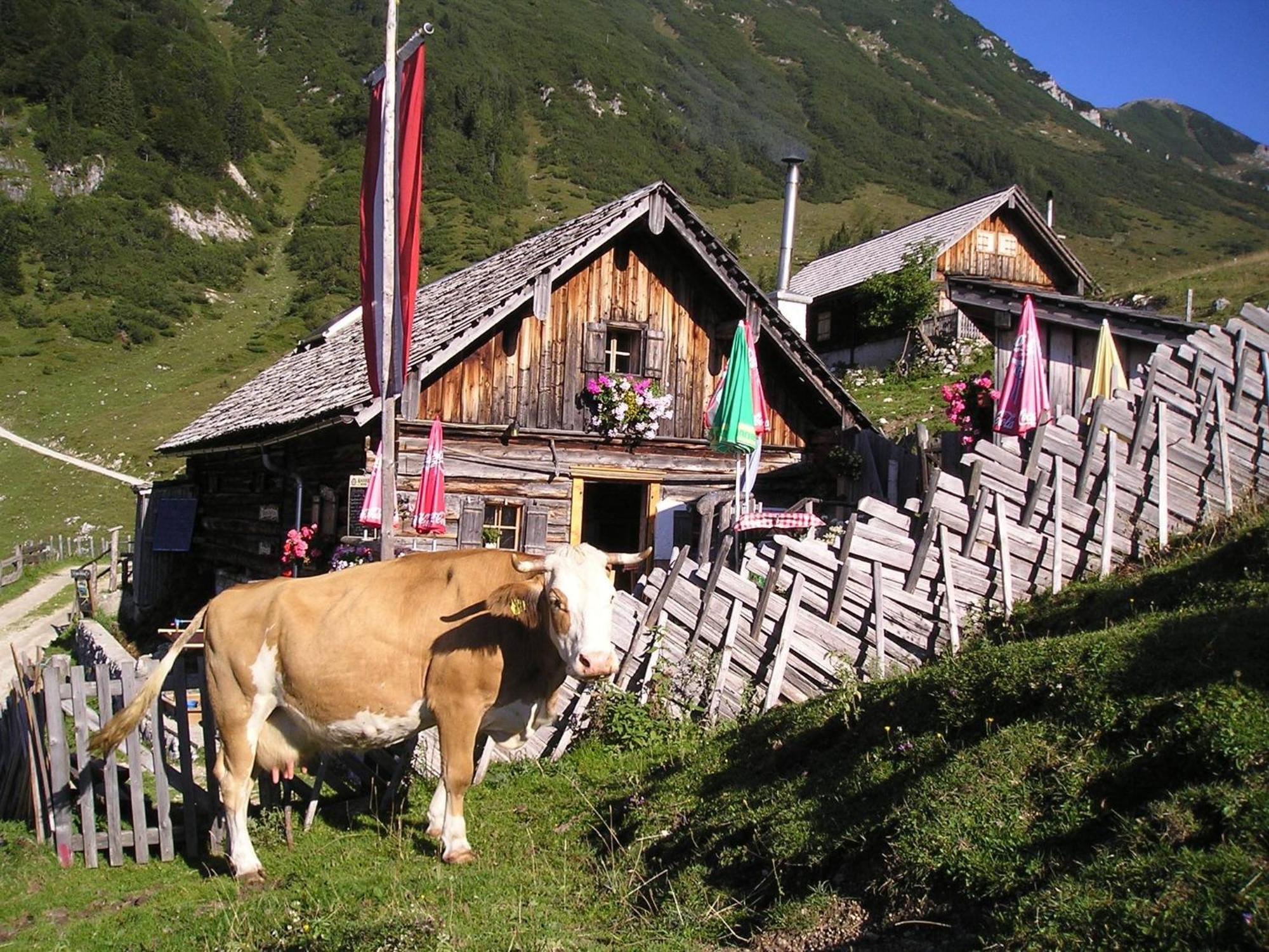 Ferienwohnung Renate Hubner Gosau Bagian luar foto